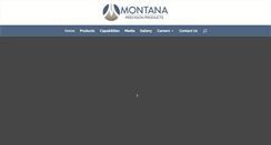 Desktop Screenshot of mtpp.com